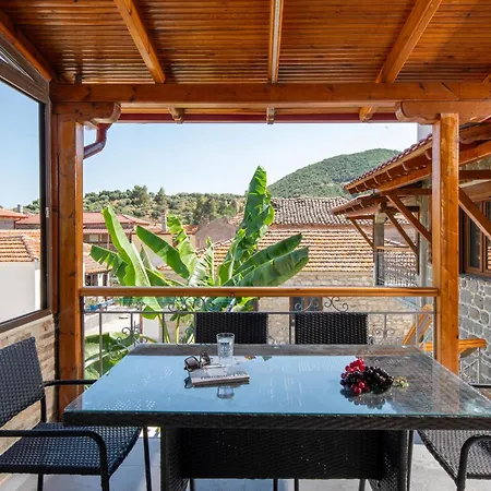 House Draganis Villa Sykia Chalkidikis Exterior photo