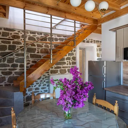 House Draganis Villa Sykia Chalkidikis Exterior photo
