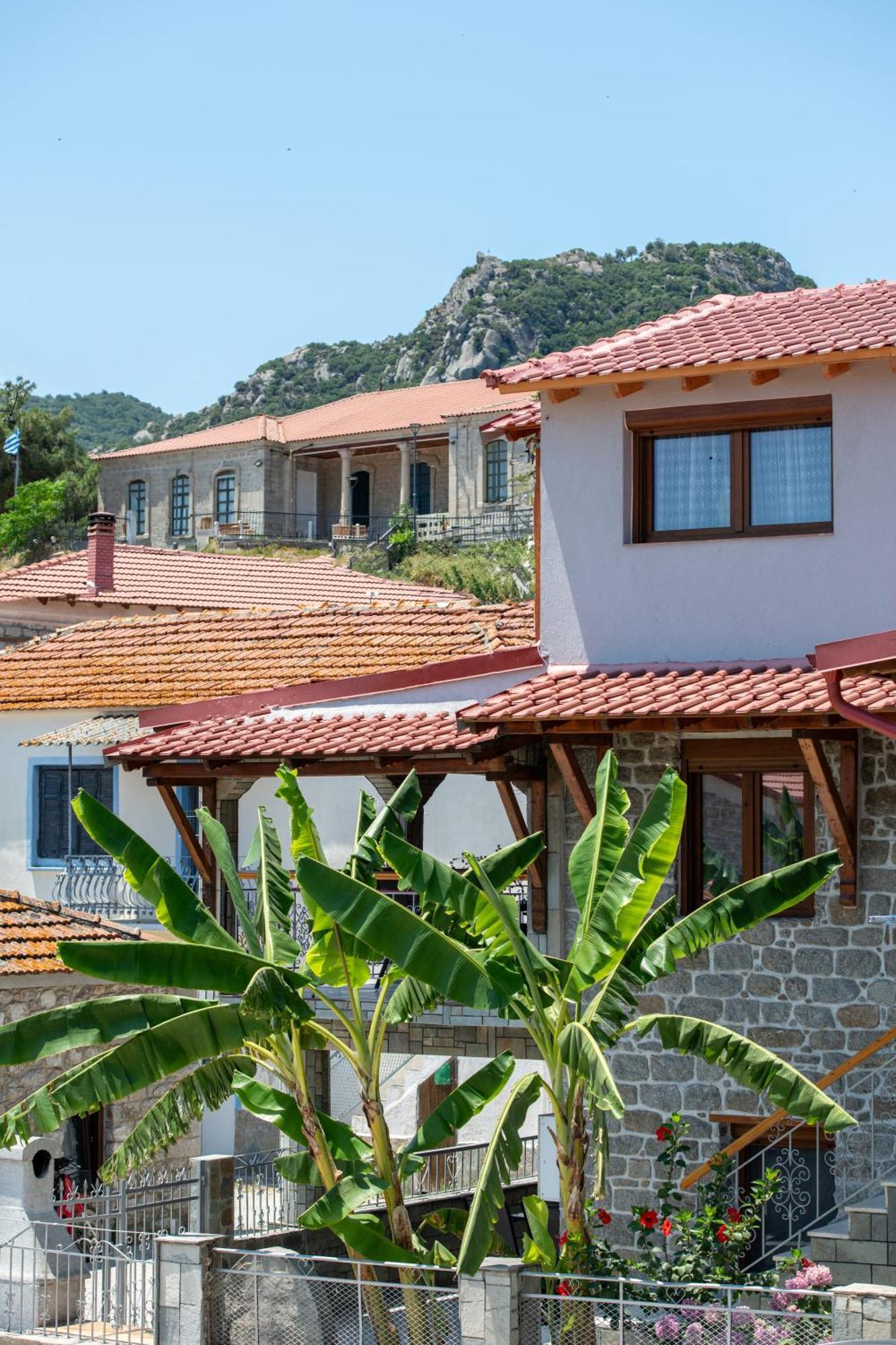 House Draganis Holiday home Sykia Chalkidikis